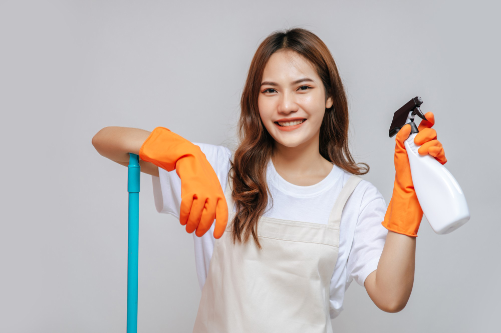 house cleaner service