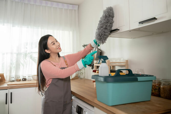 cleaning services for houses